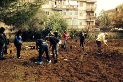 Bari, una piccola campagna tra i palazzi cittadini: � l'orto Effetto terra